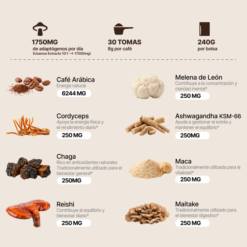 Café con Hongos Funcionales