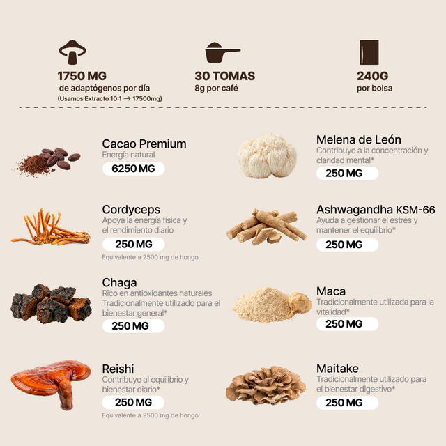 Cacao con Hongos - Starter Kit